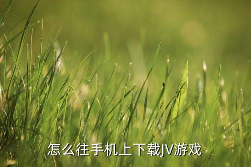 怎么往手机上下载JV游戏