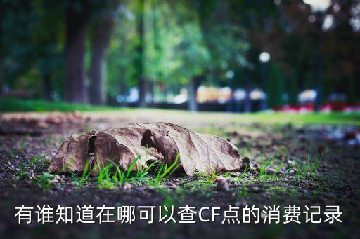 有谁知道在哪可以查CF点的消费记录