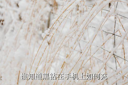 谁知道黑钻在手机上如何充