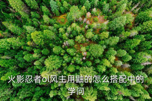 火影忍者ol风主用鼬的怎么搭配中的学问