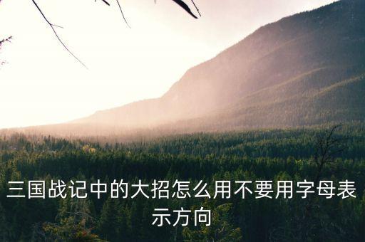 三国战记中的大招怎么用不要用字母表示方向