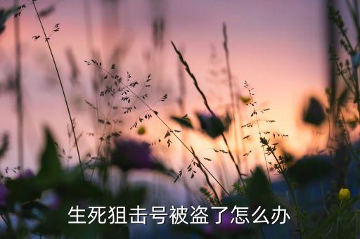 生死狙击号被盗了怎么办