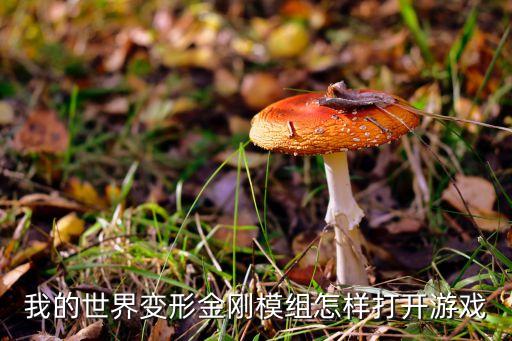 我的世界变形金刚模组怎样打开游戏