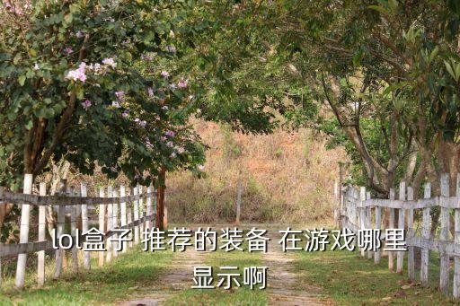 lol盒子 推荐的装备 在游戏哪里显示啊