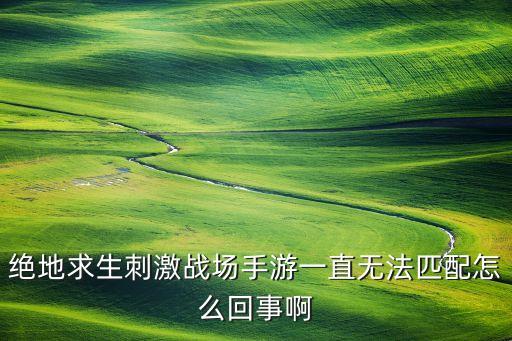 绝地求生刺激战场手游一直无法匹配怎么回事啊