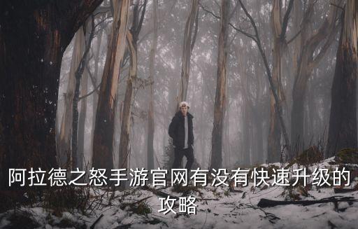 阿拉德之怒手游官网有没有快速升级的攻略