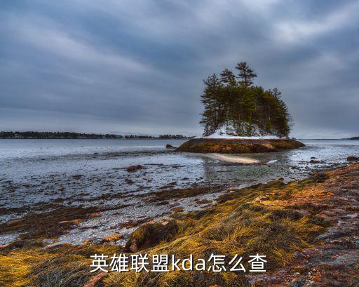 英雄联盟kda怎么查