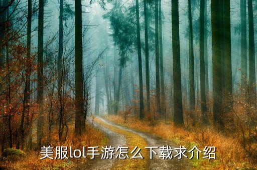 美服lol手游怎么下载求介绍