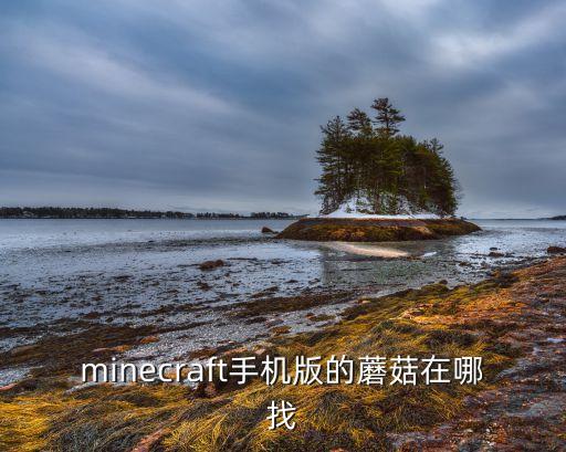 我的世界手游蘑菇怎么找，minecraft手机版的蘑菇在哪找