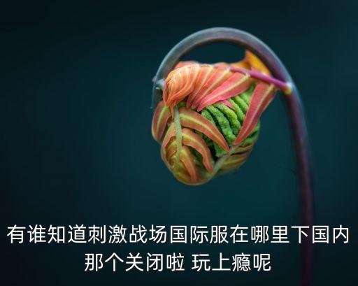 和平精英手游国际服怎么下载安装，安卓手机现在怎样才能下载刺激战场国际服啊