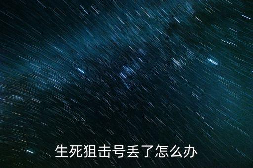 生死狙击号丢了怎么办