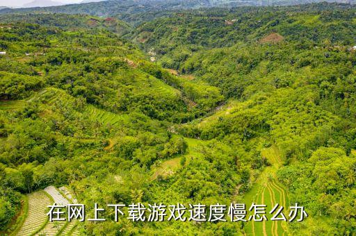 在网上下载游戏速度慢怎么办