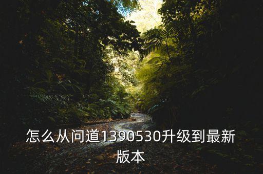 怎么从问道1390530升级到最新版本