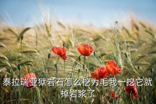 泰拉瑞亚狱岩石怎么挖为毛我一挖它就掉岩浆了
