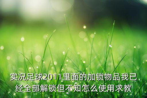 实况足球2011里面的加锁物品我已经全部解锁但不知怎么使用求教