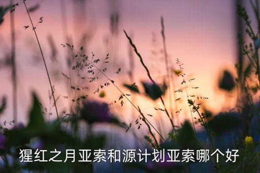 猩红之月亚索和源计划亚索哪个好