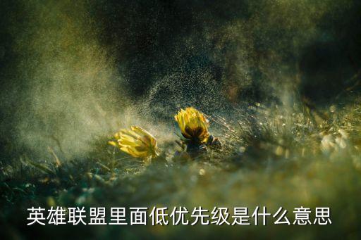 英雄联盟里面低优先级是什么意思