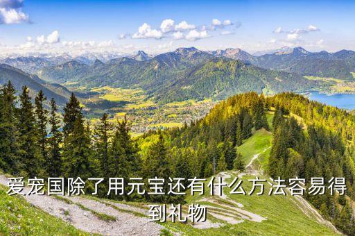 爱宠国除了用元宝还有什么方法容易得到礼物