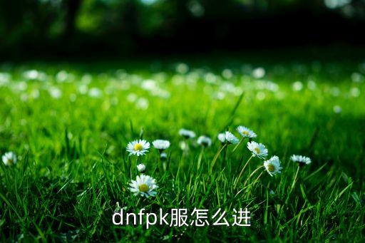 dnfpk服怎么进