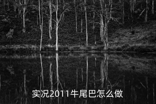 实况2011牛尾巴怎么做