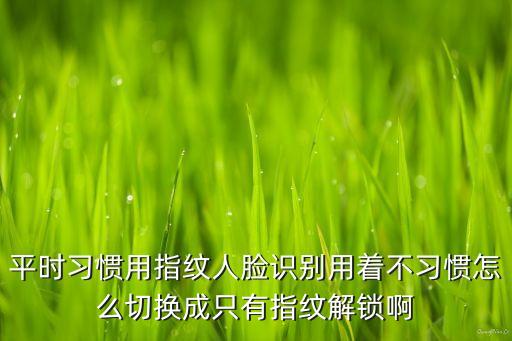 火影手游怎么改人脸识别，平时习惯用指纹人脸识别用着不习惯怎么切换成只有指纹解锁啊