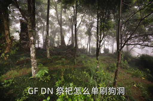 GF DN 祭祀怎么单刷狗洞
