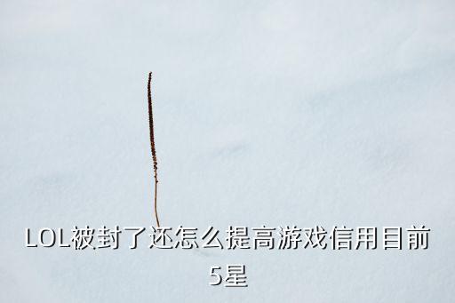 LOL被封了还怎么提高游戏信用目前5星