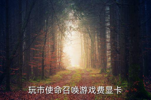 玩市使命召唤游戏费显卡