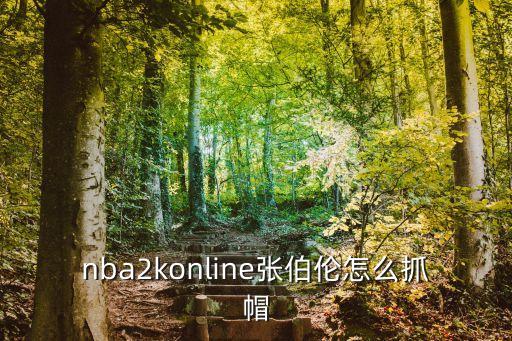 nba2konline张伯伦怎么抓帽