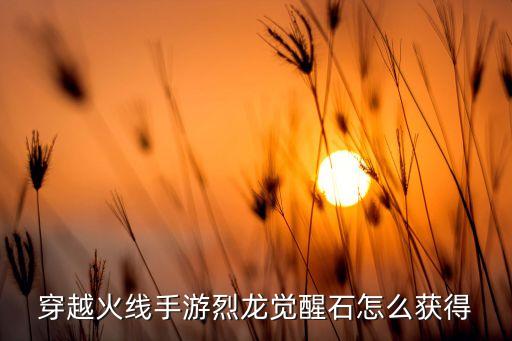 穿越火线手游烈龙觉醒石怎么获得