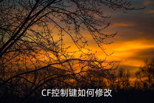 CF控制键如何修改