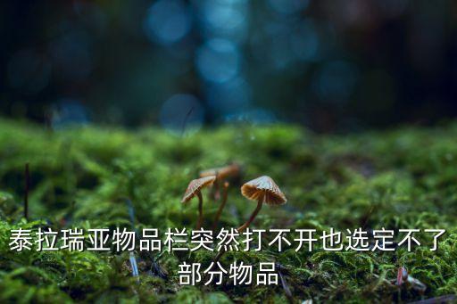 泰拉瑞亚物品栏突然打不开也选定不了部分物品