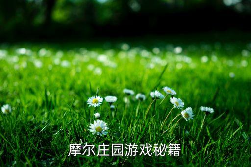 摩尔庄园游戏秘籍