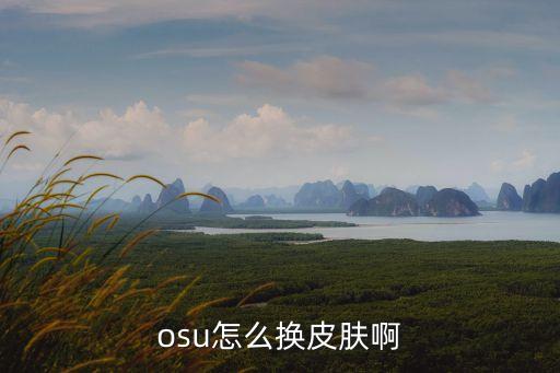 osu怎么换皮肤啊