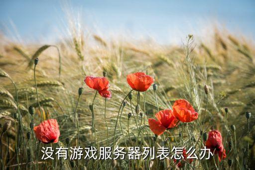 没有游戏服务器列表怎么办