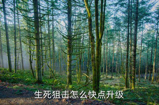 生死狙击怎么快点升级