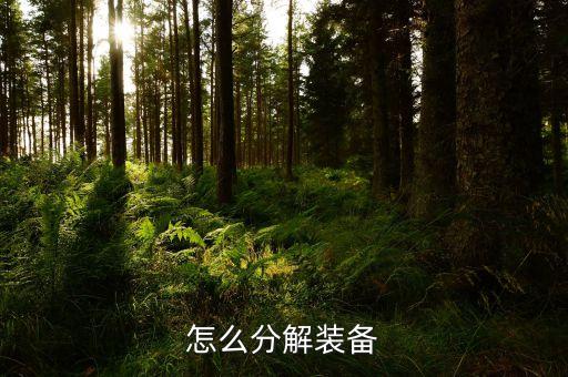 延禧攻略手游装备怎么分解，怎么分解装备