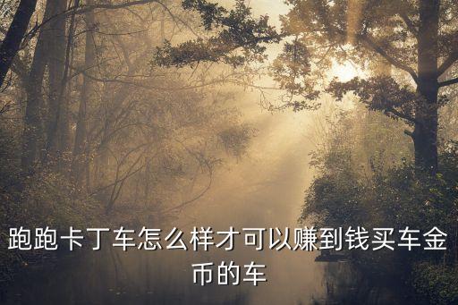跑跑卡丁车怎么样才可以赚到钱买车金币的车