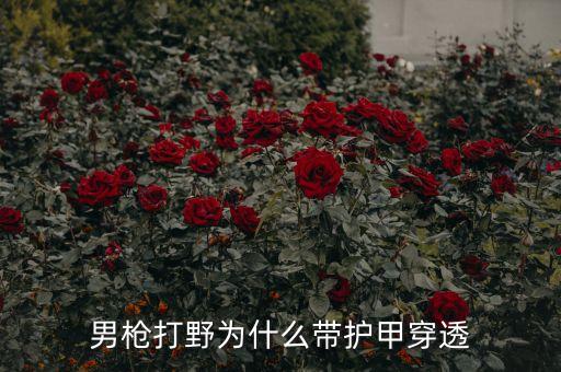 手游男枪怎么样会有很高的护盾，那个男枪有点前期抓人的小技巧 看看怎么样