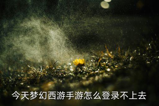 今天梦幻西游手游怎么登录不上去