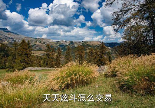天天炫斗手游怎么交易，天天炫斗拍卖行怎么拍卖自己的装备