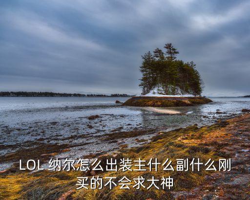 纳尔手游金铲铲怎么出装，讨论一下纳尔怎么出装