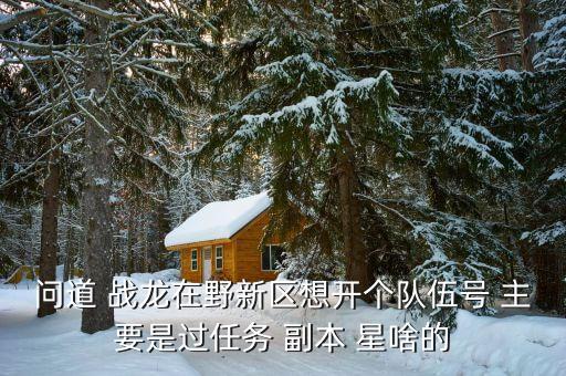 问道 战龙在野新区想开个队伍号 主要是过任务 副本 星啥的
