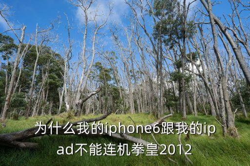 为什么我的iphone6跟我的ipad不能连机拳皇2012