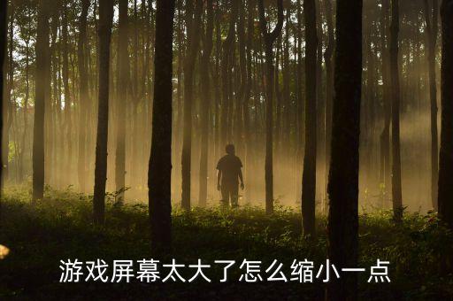 360手游电脑版怎么缩放屏幕，怎么缩小游戏屏幕