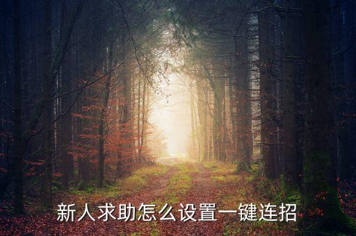 新人求助怎么设置一键连招