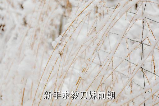 新手求教刀妹前期