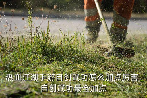 热血江湖手游自创武功怎么加点厉害 自创武功最全加点