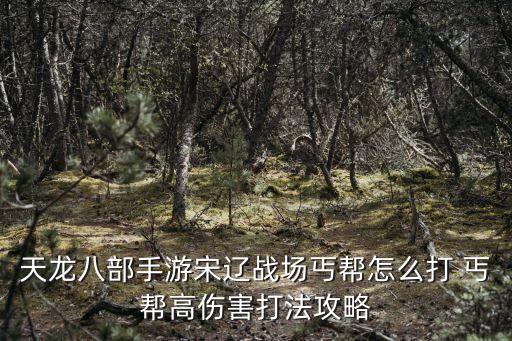 天龙八部手游宋辽战场丐帮怎么打 丐帮高伤害打法攻略