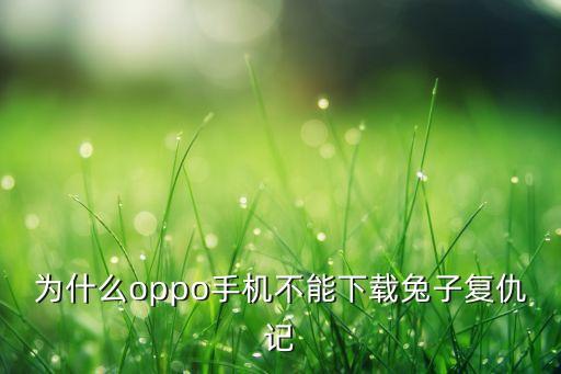 为什么oppo手机不能下载兔子复仇记